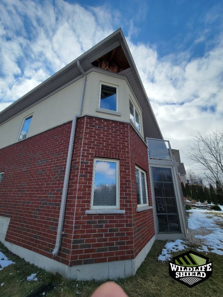 barrie exterior overview inspection 01