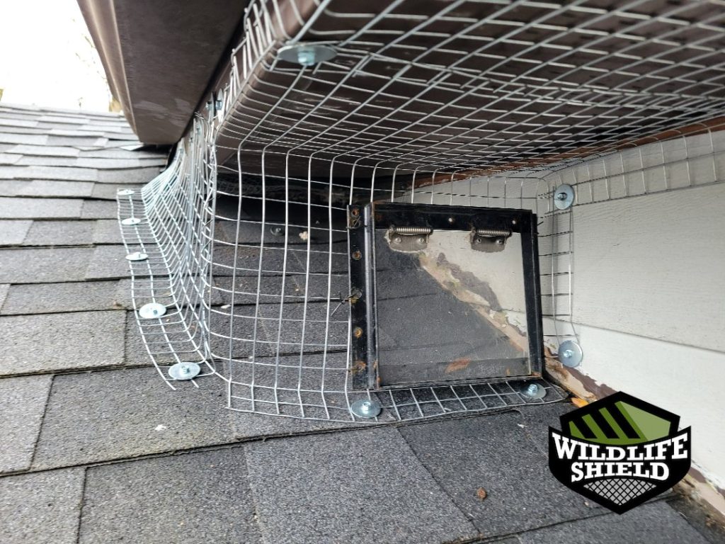 barrie roof one way door install 08 barrie roof one way door install 08