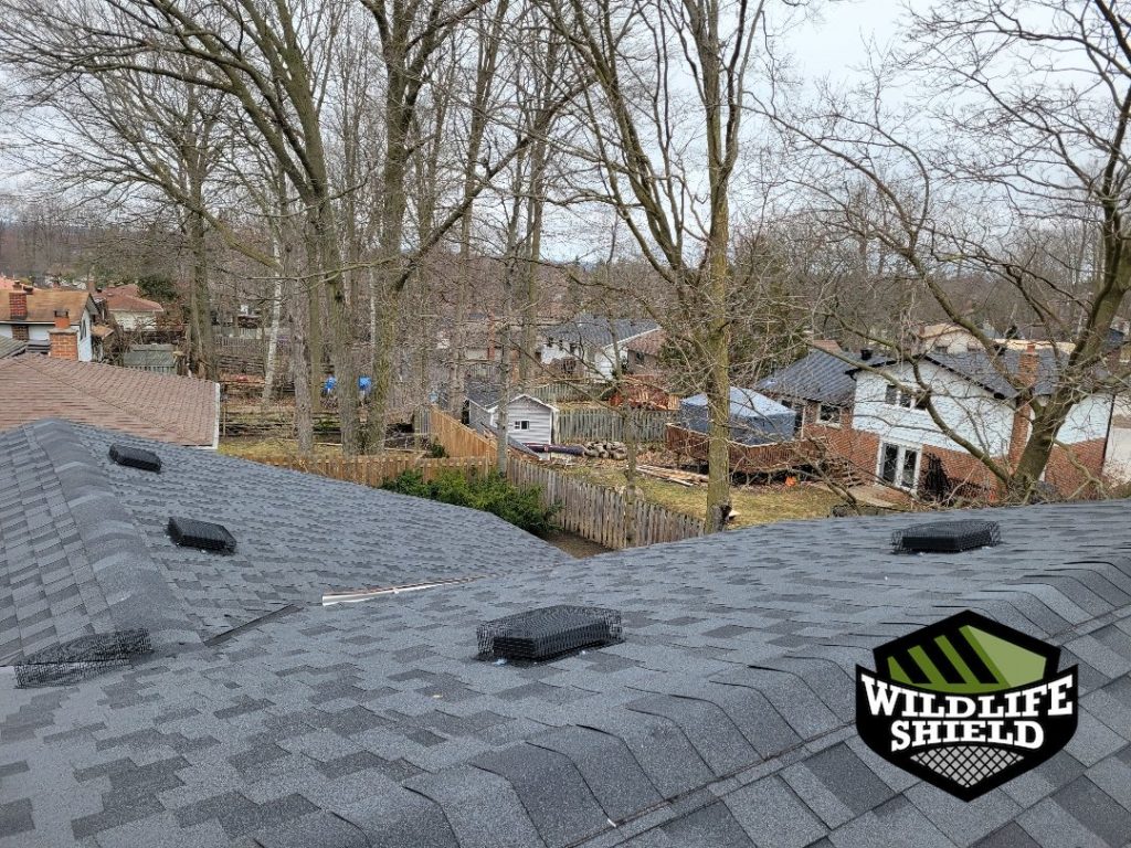 barrie roof overview after 04 barrie roof overview after 04