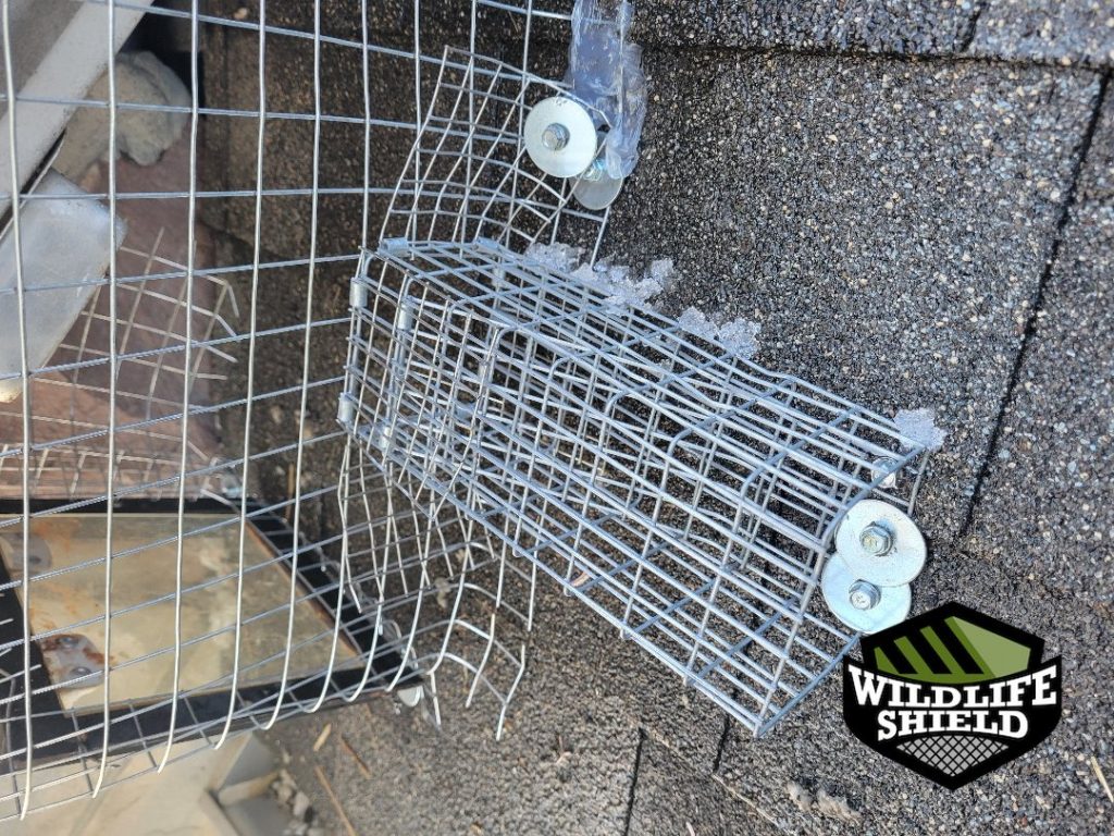 barrie roof screening after 04 barrie roof screening after 04