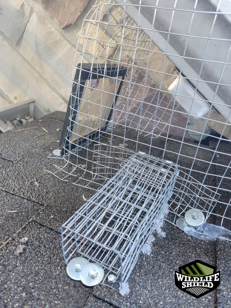 barrie roof screening install 02 barrie roof screening install 02