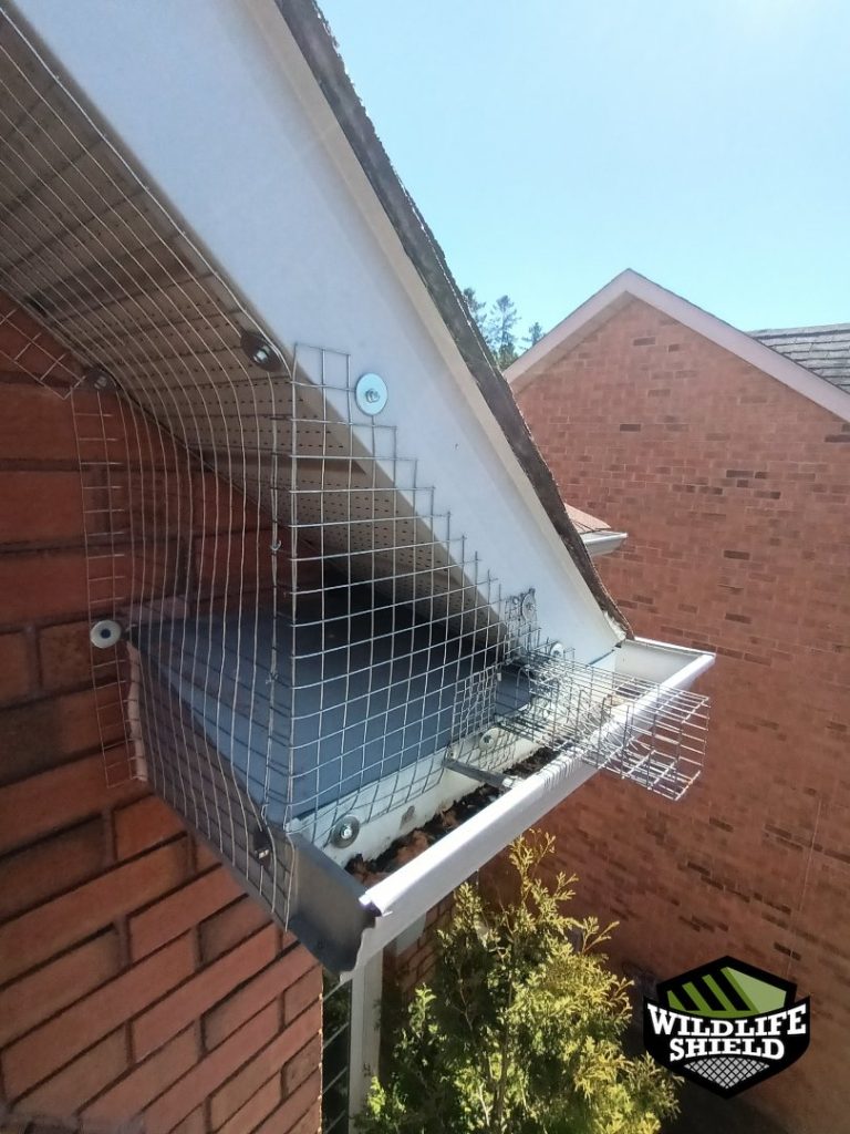 barrie roof screening install 04 barrie roof screening install 04