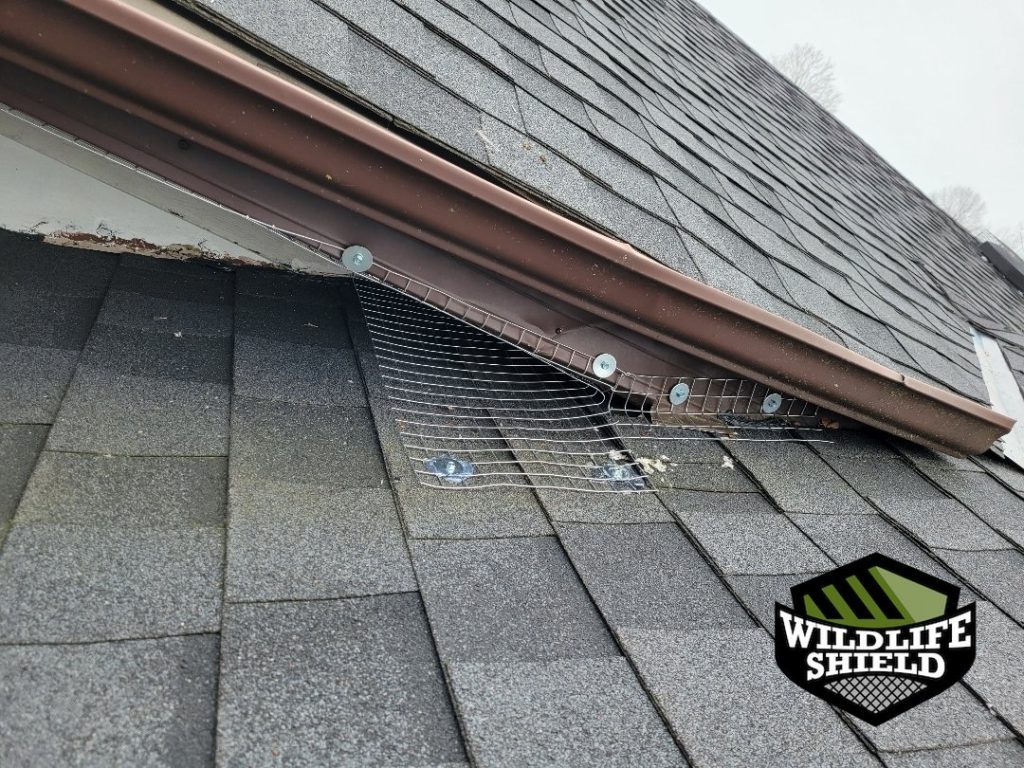 barrie roof screening install 07 barrie roof screening install 07