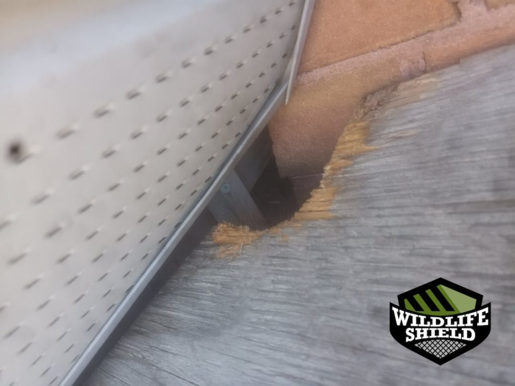 barrie soffit entry point before 01