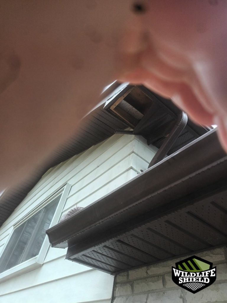 barrie soffit overview inspection 02 barrie soffit overview inspection 02