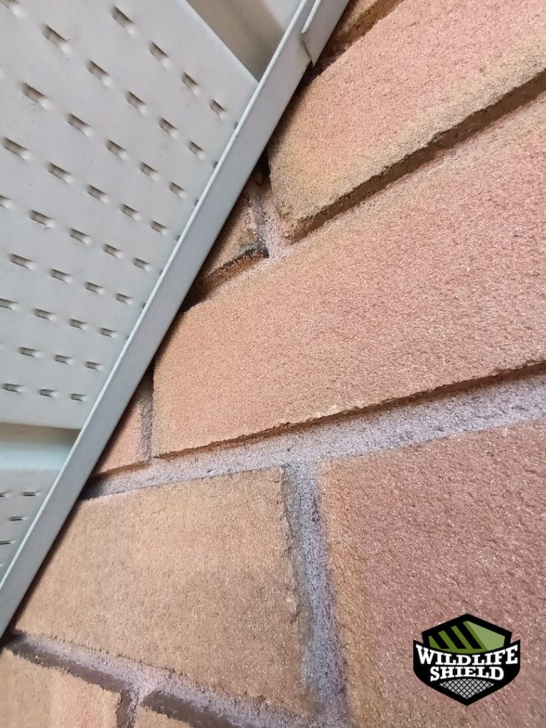 barrie soffit overview inspection 05 barrie soffit overview inspection 05