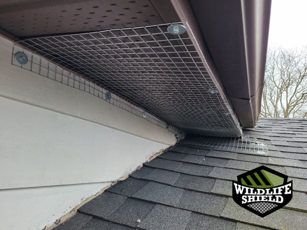 barrie soffit screening after 05 barrie soffit screening after 05