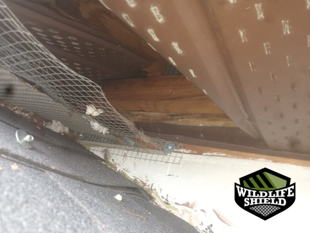 barrie soffit screening install 01