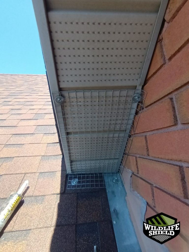 barrie soffit screening install 06 barrie soffit screening install 06