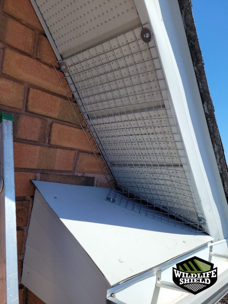 barrie soffit screening install 08 barrie soffit screening install 08