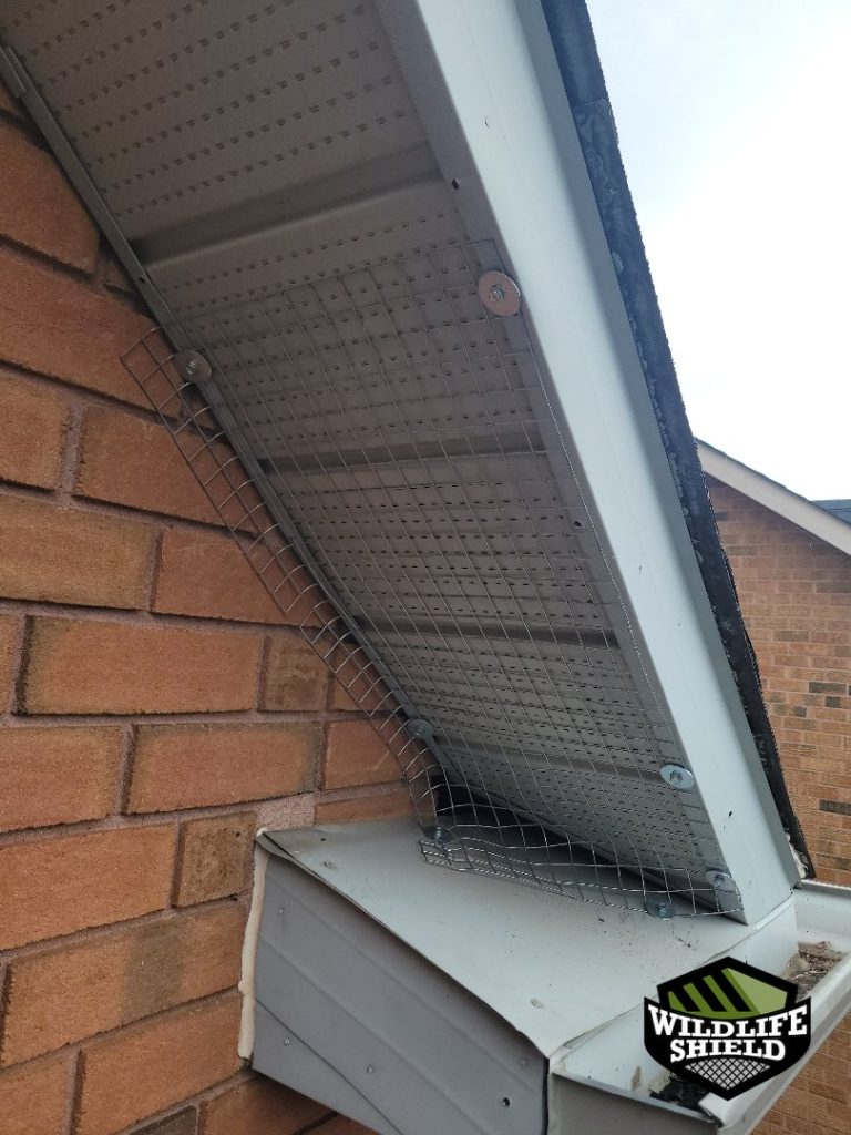 barrie soffit screening install 10 barrie soffit screening install 10